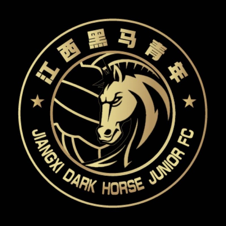  官方：江西黑馬青年完成異地遷移程序，更名為溫州職業(yè)足球俱樂部
